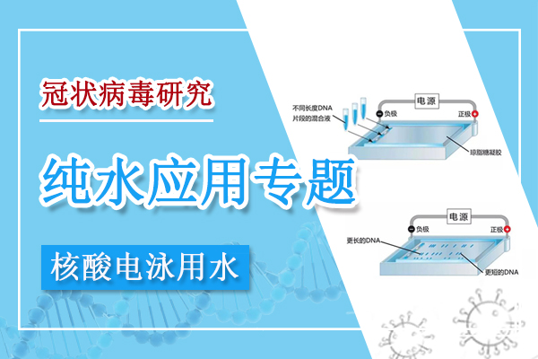 新冠病毒研究用水系列三：如何获得好的核酸电泳条带